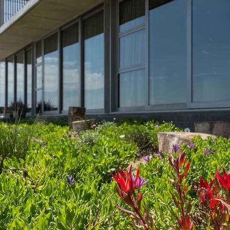 The Olive Tree Villa Yzerfontein Exterior foto