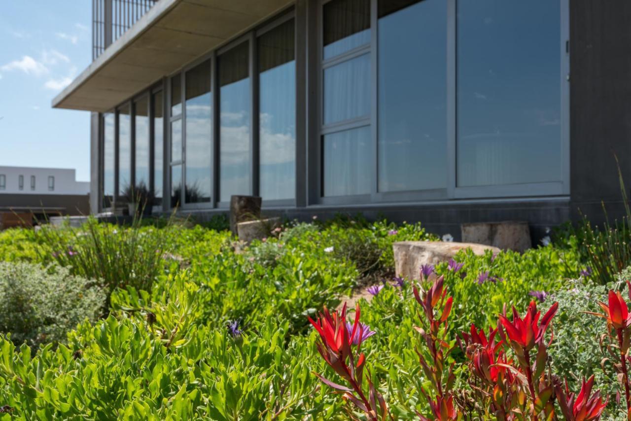 The Olive Tree Villa Yzerfontein Exterior foto